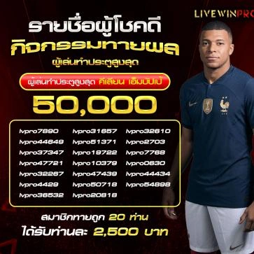 โปรโมชั่น v13